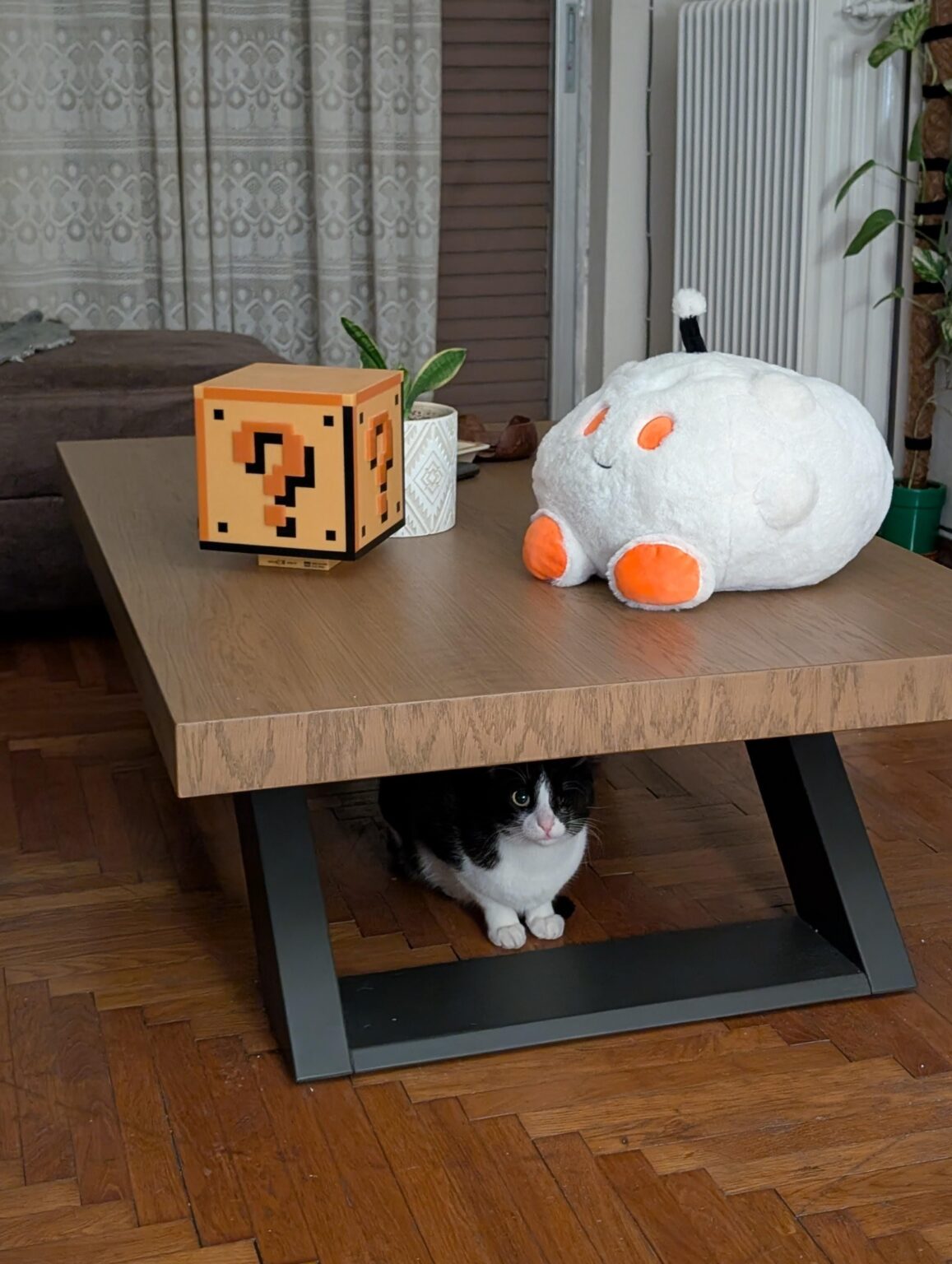 Focus + reddit plushie!