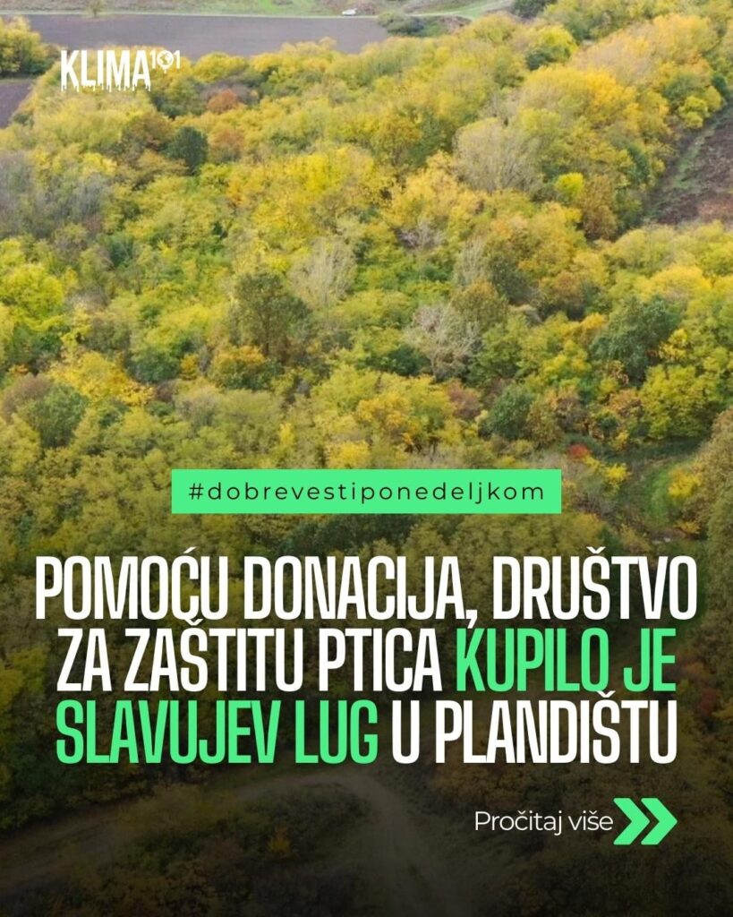 Thanks to donations from citizens, the Society for the Protection of Birds bought Slavujev lug in Banat