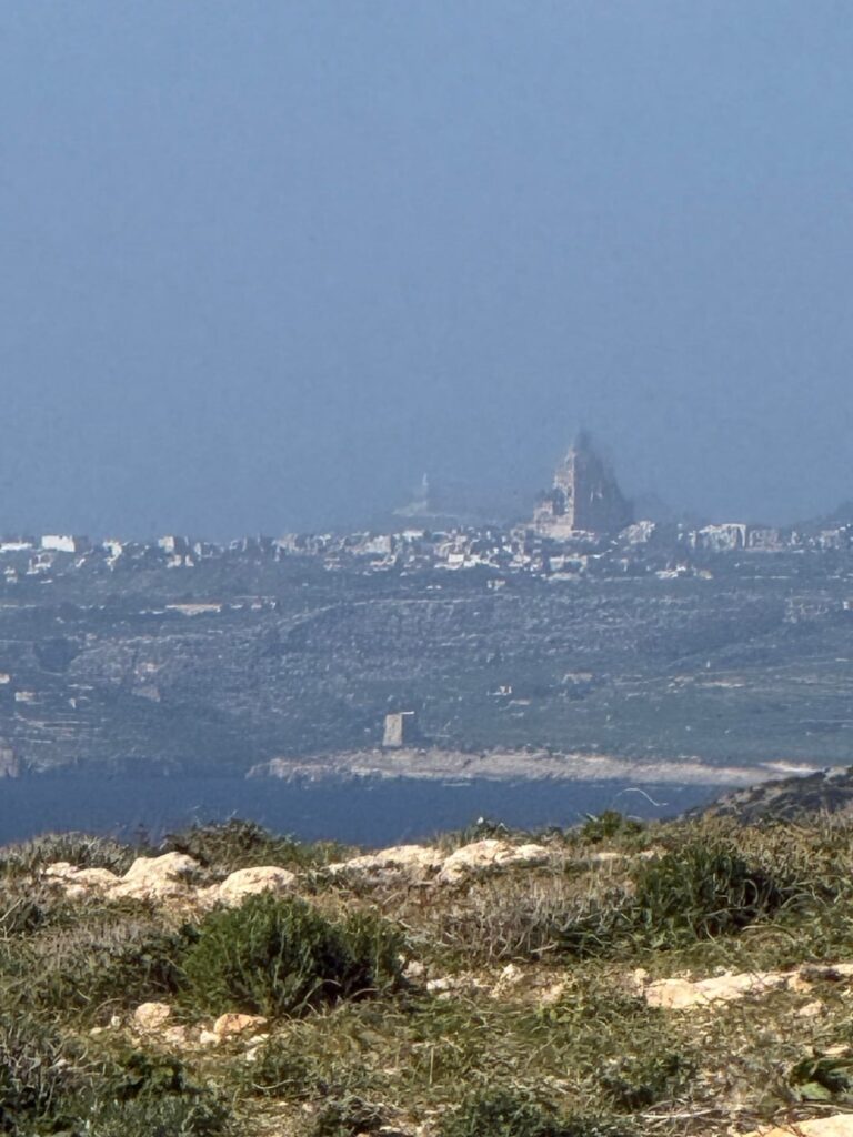 What the hell am I looking at?