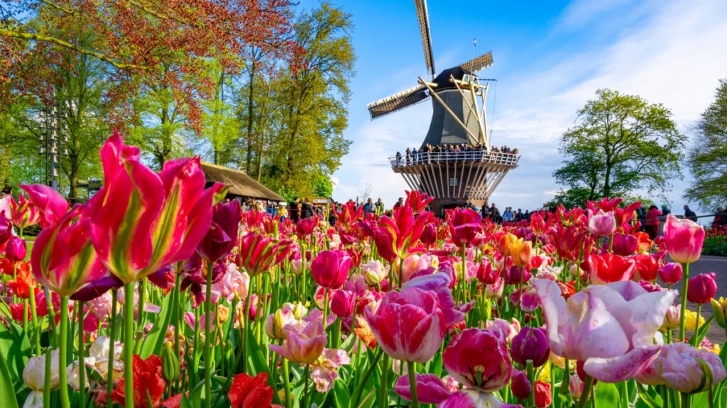 Spring is coming! This country knows how to make the most of it