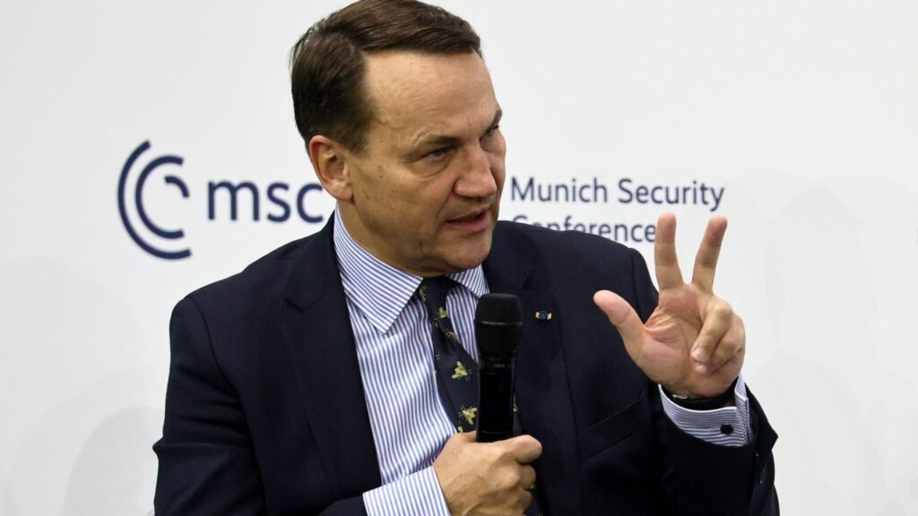 US interference in Polish politics ‘outrageous’, Poland’s foreign minister says