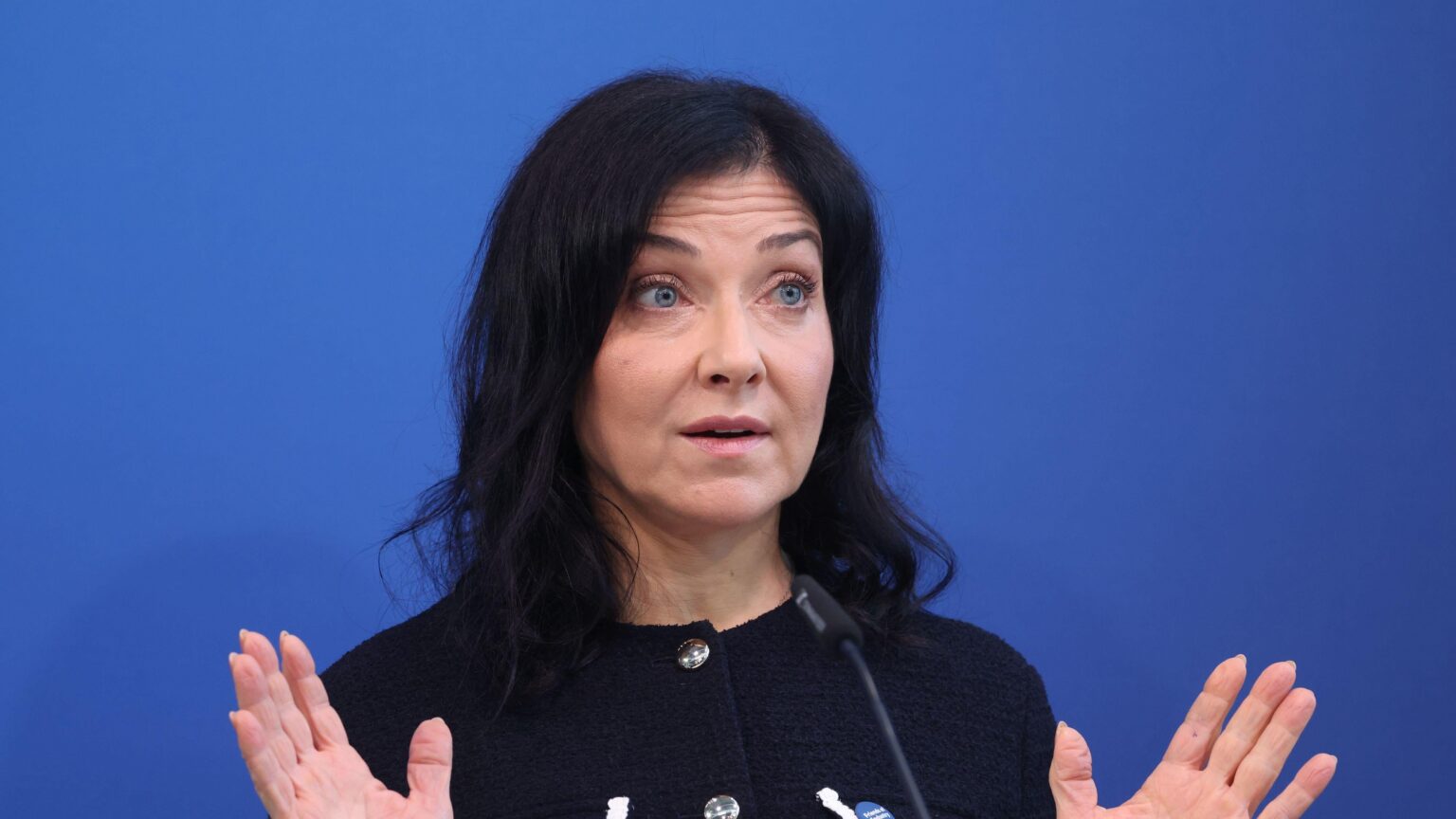 Comment: Katherina Reiche's commitment to climate goals is ridiculous