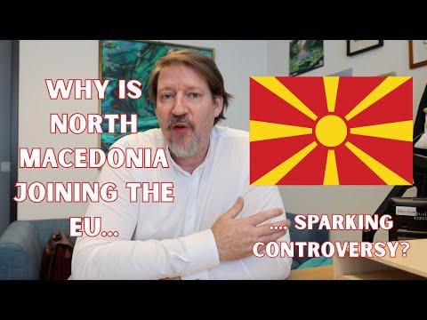 Thomas Waitz explains what happened when he presented the report on Macedonia