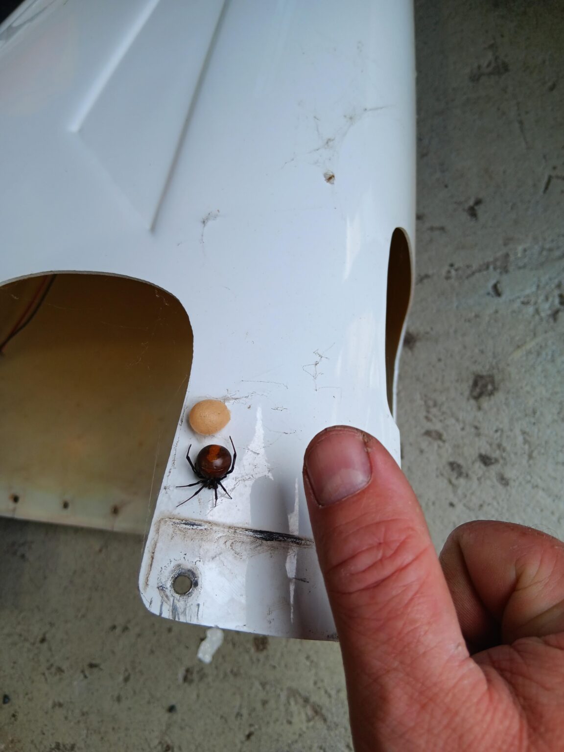 Little bugger almost got me.