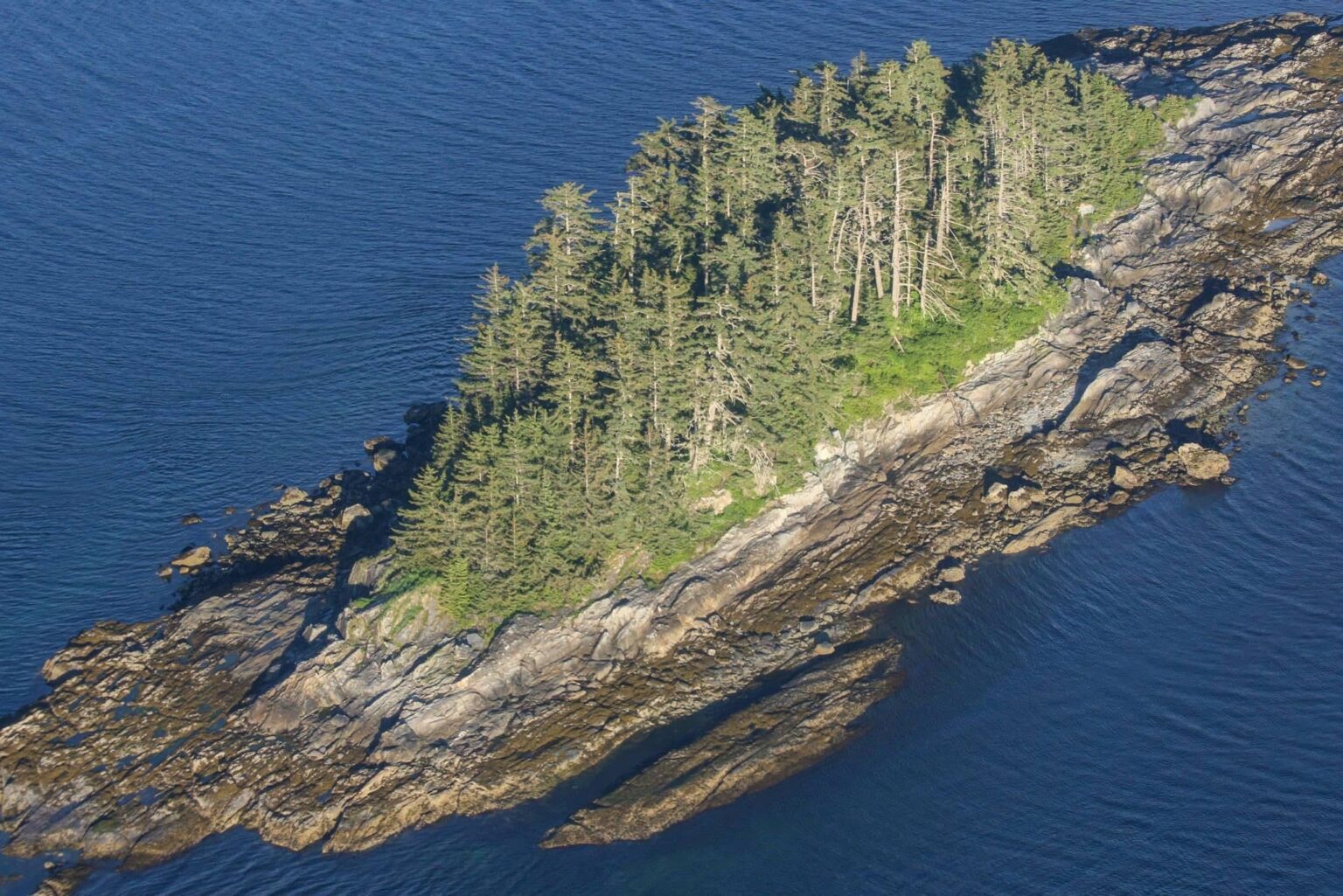 Small Island from a float plane near the Misty Fjords in Alaska