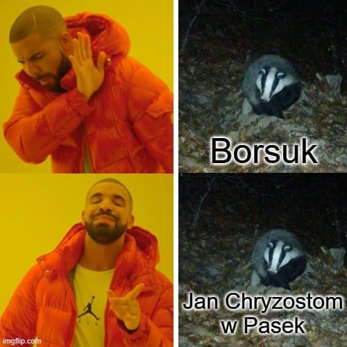 the Facebook profile of the Warsaw Łazienki organized a competition for the name of the badger living in the park, the name of the decade, casual