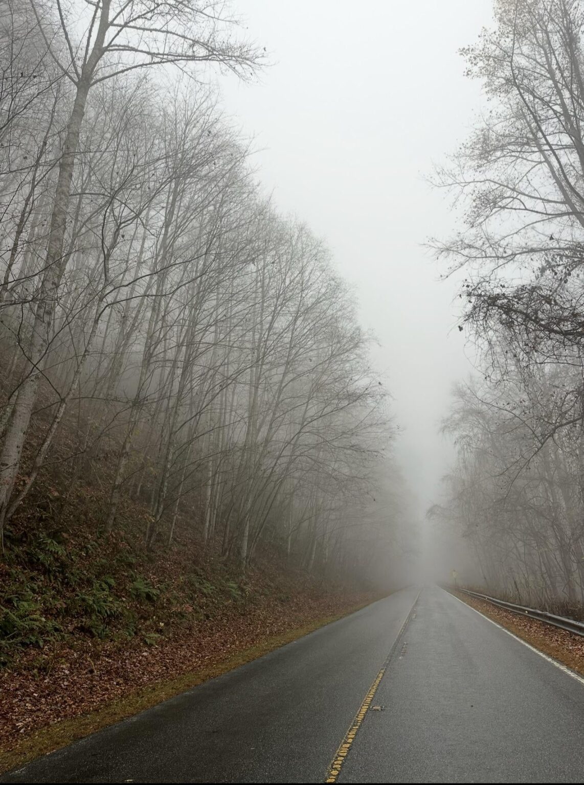 Foggy weather is my favorite! :)