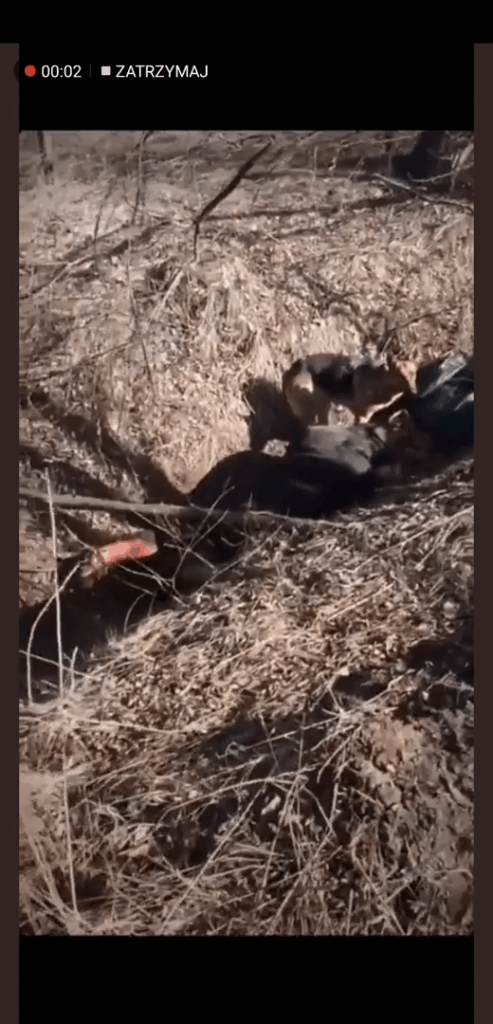 I hate Russians with all my heart (I'm lowkey ready for the ban)