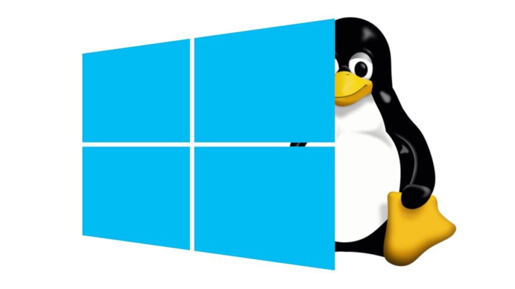 More than 5% market share: Linux's winning bet in France against Windows 11!