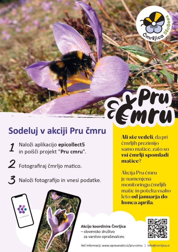 I invite you to participate in recording bumblebee sightings