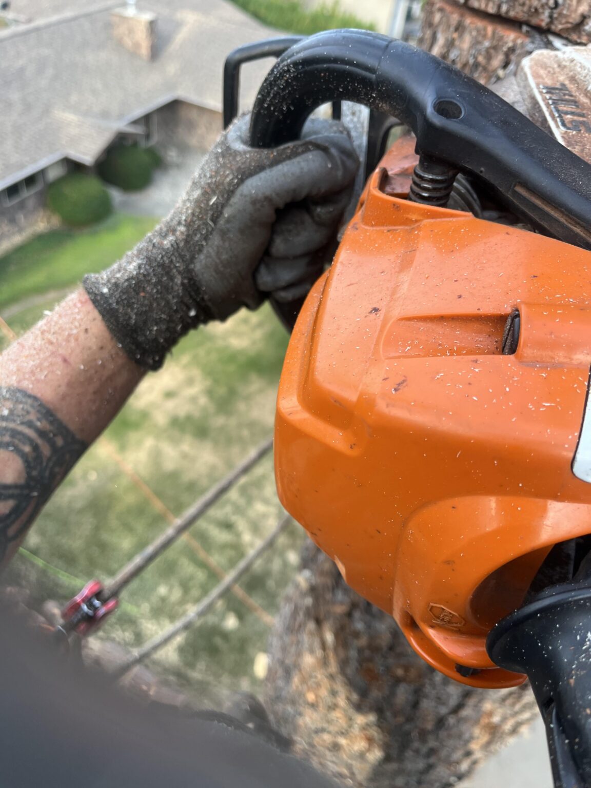 Tree climber/Arborist Jobs
