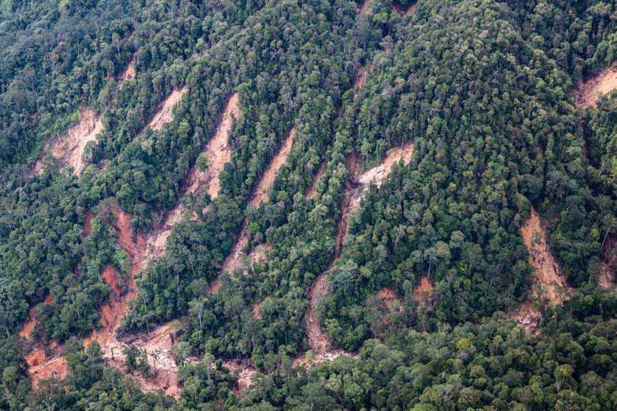 Extractive-led economic growth fuels Indonesia’s environmental crisis