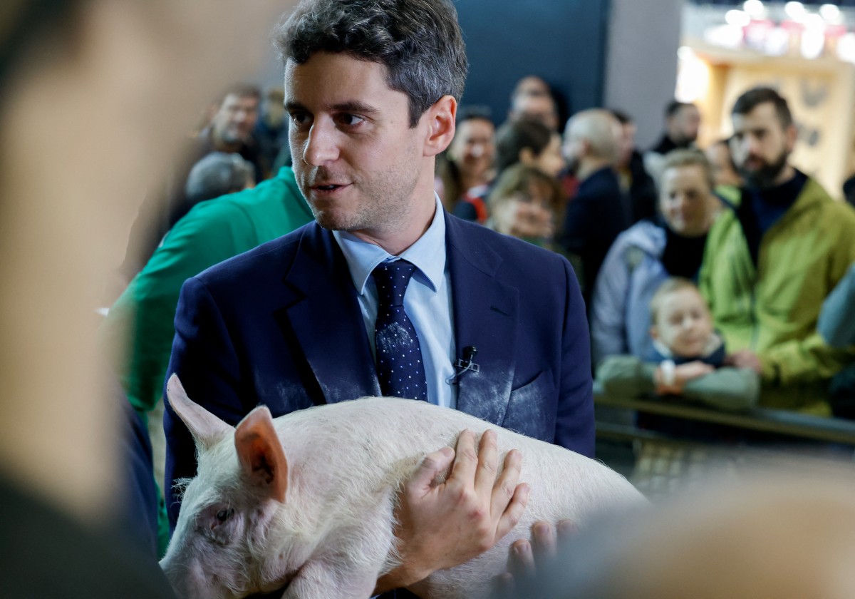 Gabriel Attal looks mildly uncomfortable as he holds a piglet