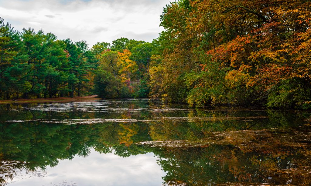 House passes bill that will limit limit state environmental regulations