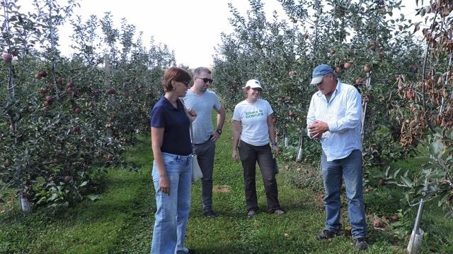 Penn State partners to address Republic of Georgia's invasive stink bug problem