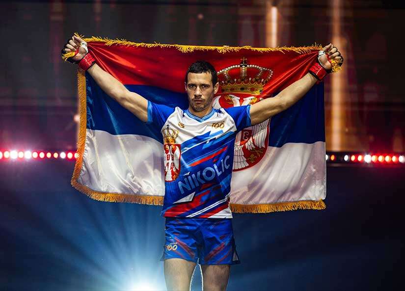 Borislav Nikolić