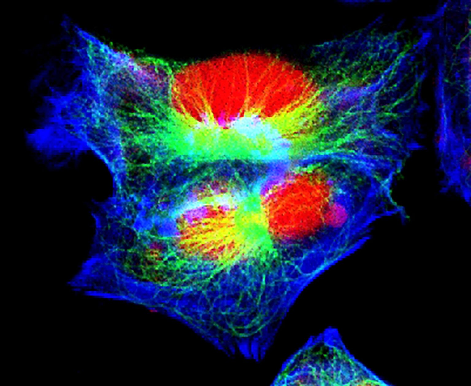 Brain energy surge can turn short memories into lasting ones