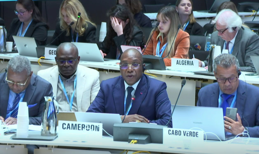 A male delegate representing Cameroon speaks into a microphone at a World Health Organization Executive Board meeting.