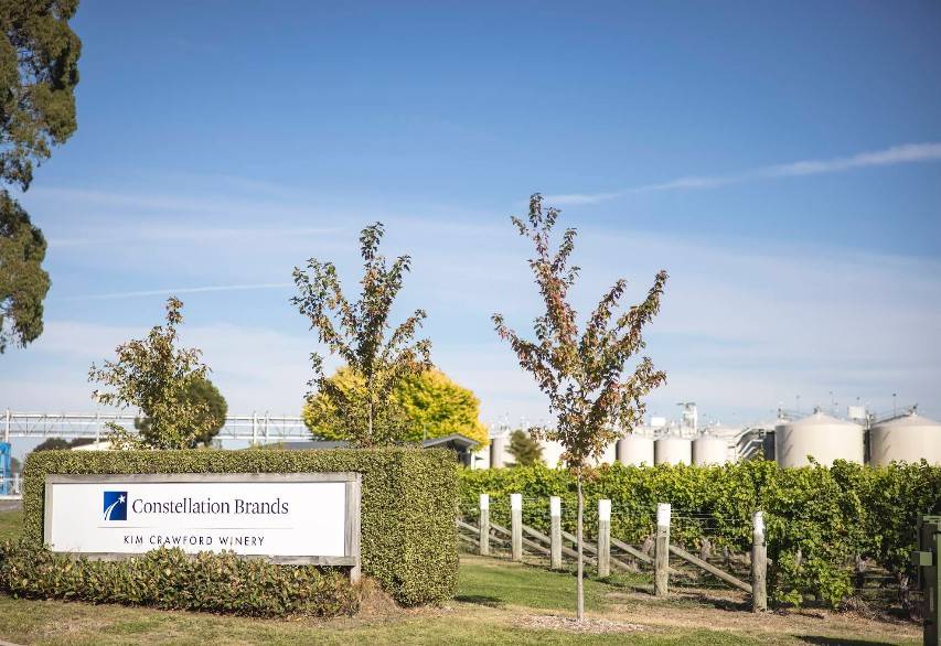 Loss worsens for leading wine exporter Constellation Brands NZ
