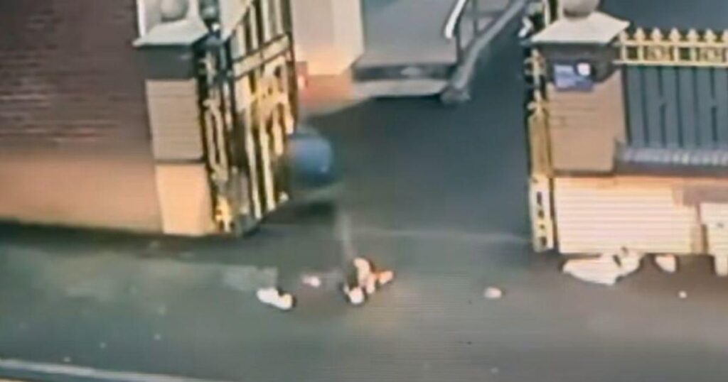 Illegal immigrant who dumped raw pork outside West Bromwich gurdwara avoids jail for racist attack