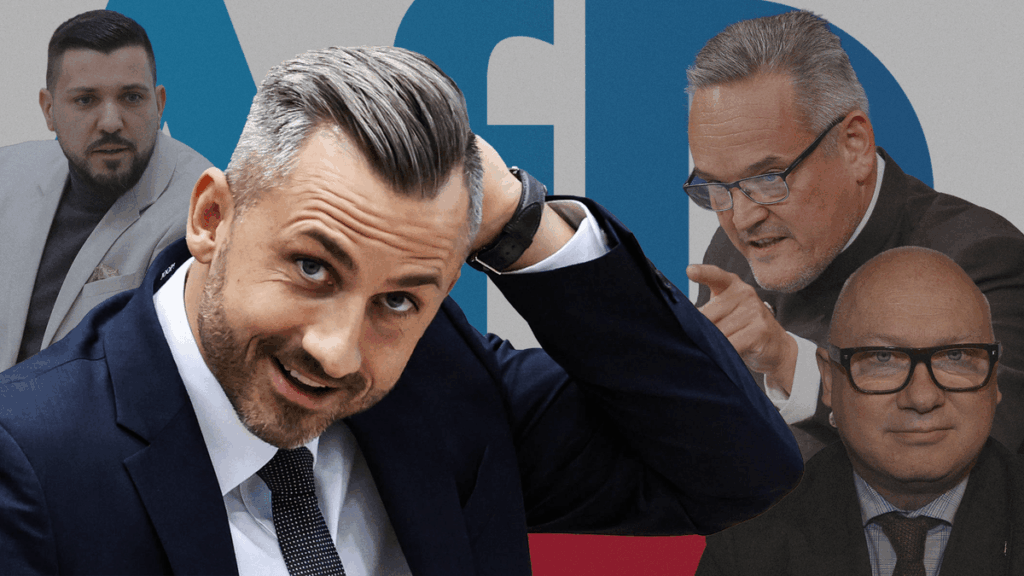 “This has mafia proportions”: How the AfD provides its families with state money
