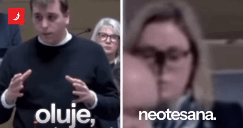 VIDEO Moseževac spoke about Zrinjevac. Representative: "That guy never did"