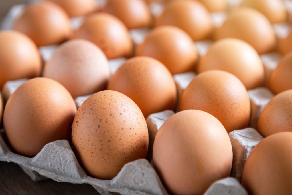 A Dietitian Ranks 8 Plant-Based Foods With More Protein Than an Egg