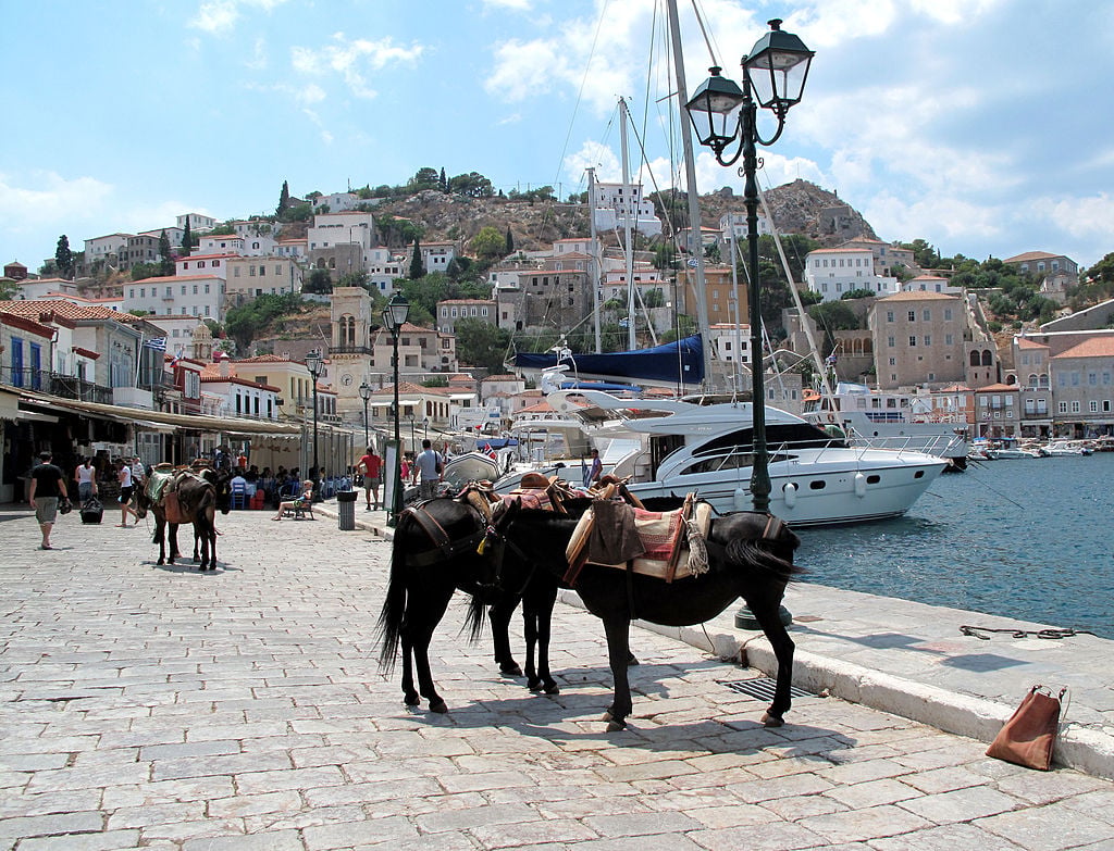 donkeys in front of the port of Hydra island, Greece