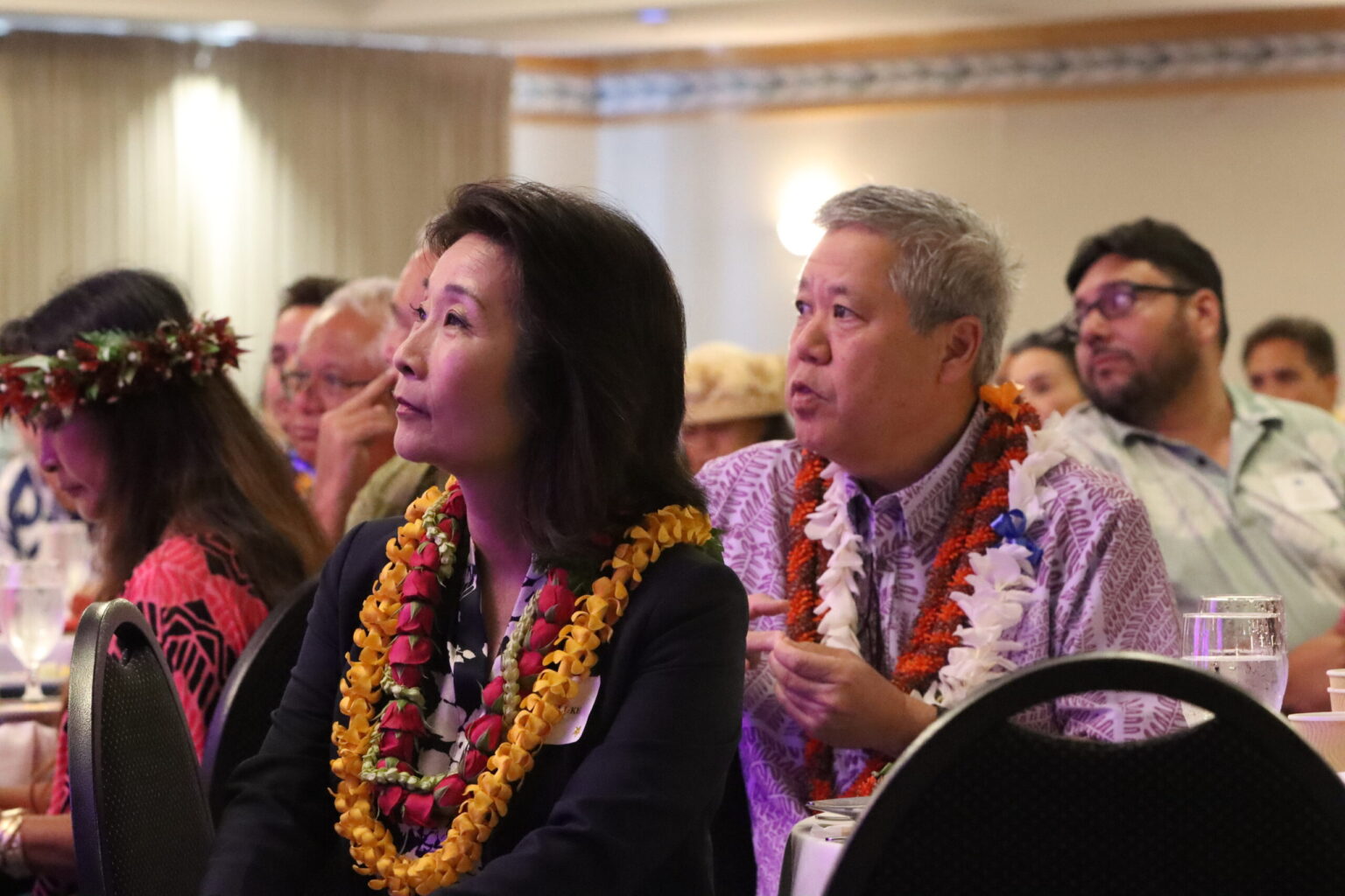 The Sunshine Blog: Sylvia Luke Is Still Talking About Her Own Political Mess