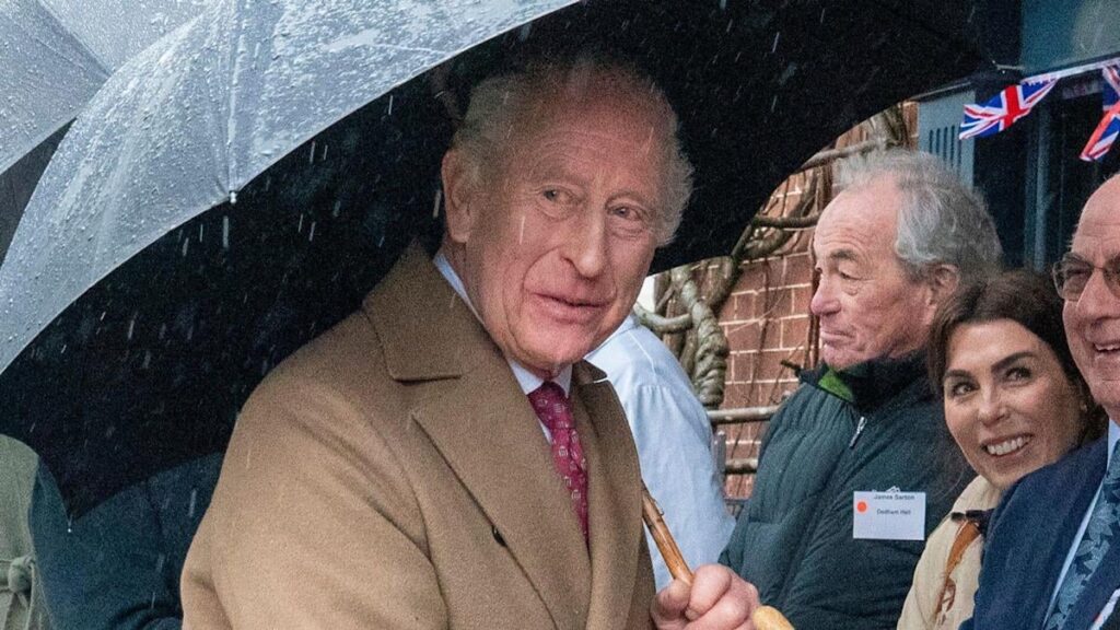 King Charles heckled about brother Andrew Mountbatten-Windsor's ties to Epstein during outing