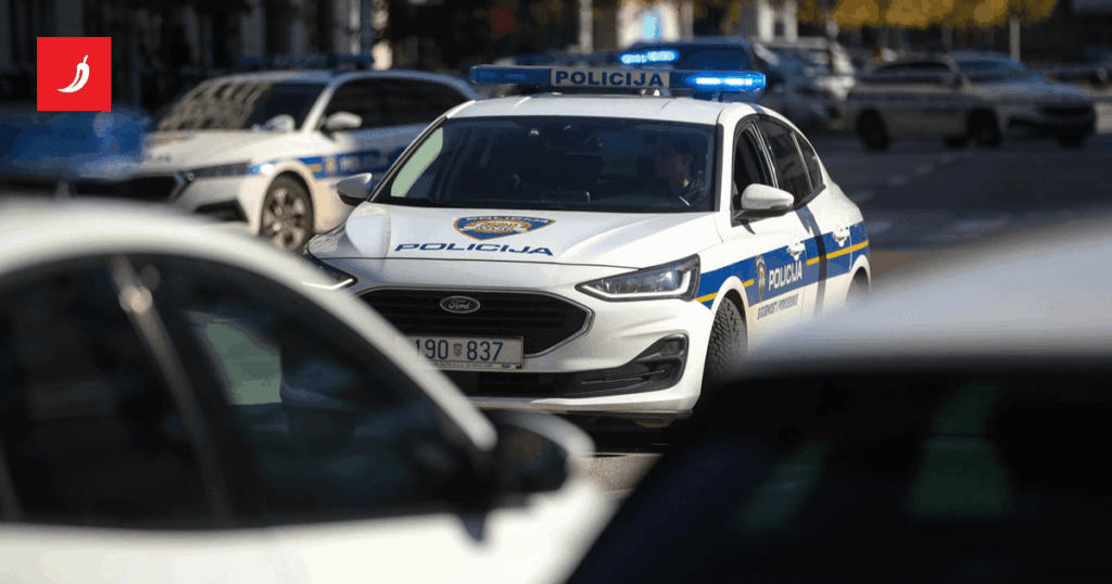 Croatian MMA fighter arrested. He was reported for domestic violence. We find out the details