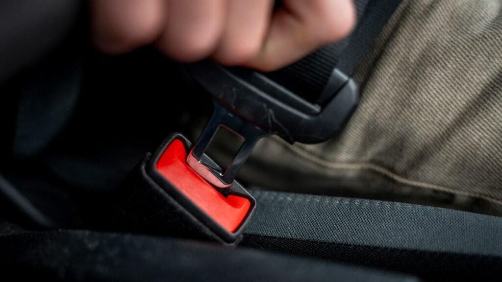 It should cost you a cut in your driving license if you forget your seat belt, FDM believes