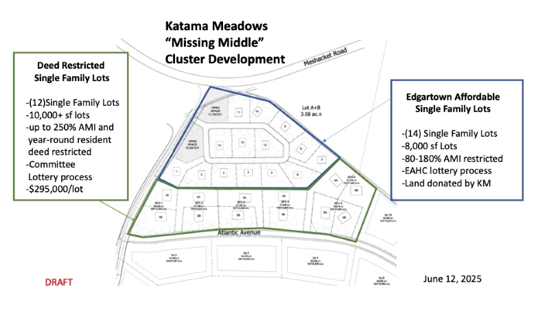 Environmental, affordability concerns raised on Katama Meadows