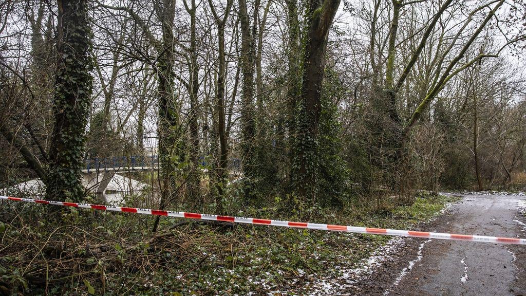 Police: Syrian teenagers in Amsterdam may have been randomly shot dead