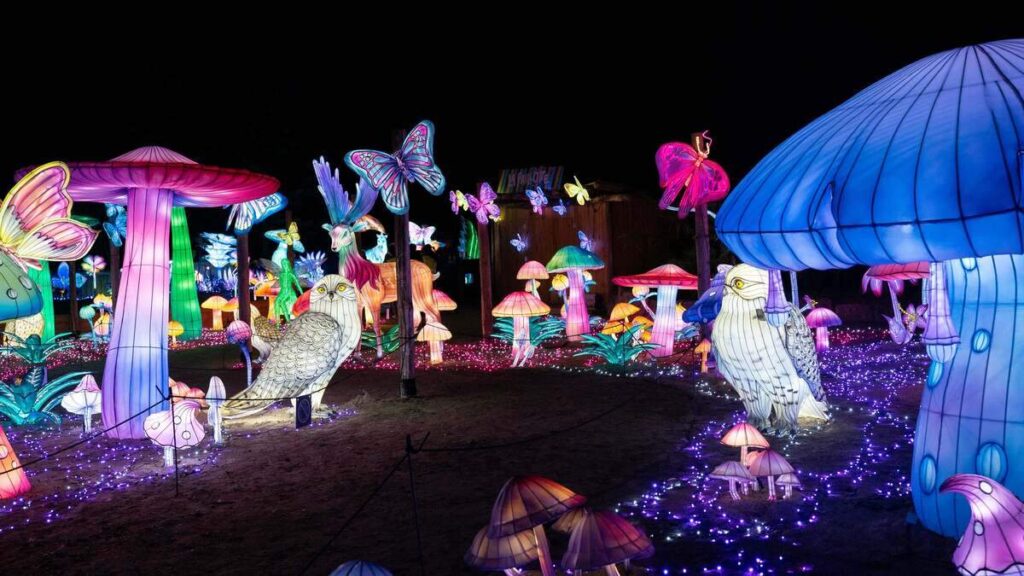 What’s on in the Greater Region: stand-up workshops, drama and love readings What’s on in the Greater Region: stand-up workshops, drama and love readings