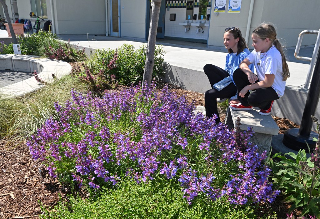 Marin schools receive statewide environmental honors