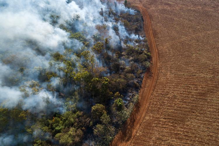 [Gavelink] New report: "Foreign countries pay a very high price for our consumption in Denmark" - Danes' overconsumption is destroying the world's natural resources. Now WWF has put numbers for the first time. Take responsibility, says Brazilian forest scientist.