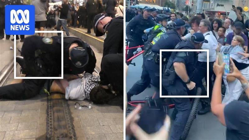 Excessive or reasonable? Police actions at Sydney's protest analysed