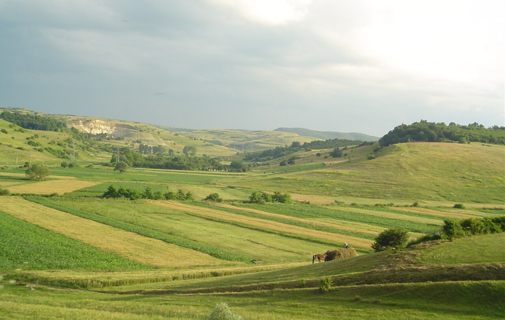European hemp stalwart HempFlax Group is departing Romania after historic 14-year run