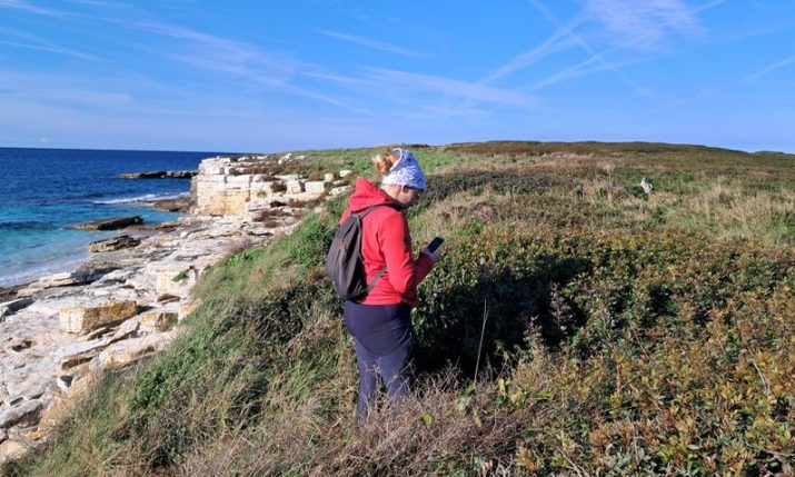 Cameras and GPS to track rare seabird in Brijuni National Park