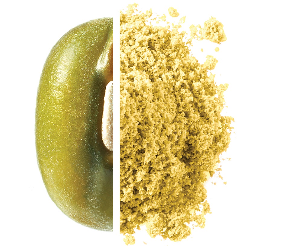 Alternative proteins flagged as strategic growth sector for EU industry
