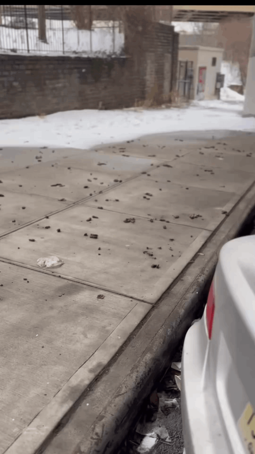 As part of the latest complaints that in Poland no one cleans in winter.