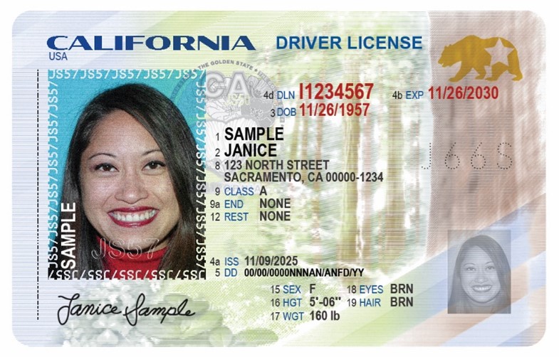 A sample of the California driver's licence.