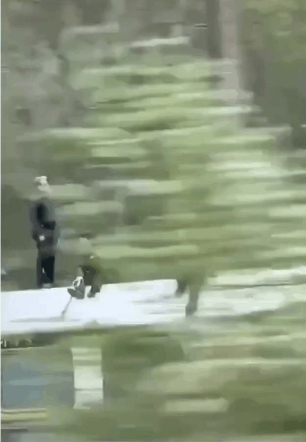 A man was driving in norway when he accidentally spotted Tom Cruise on a train