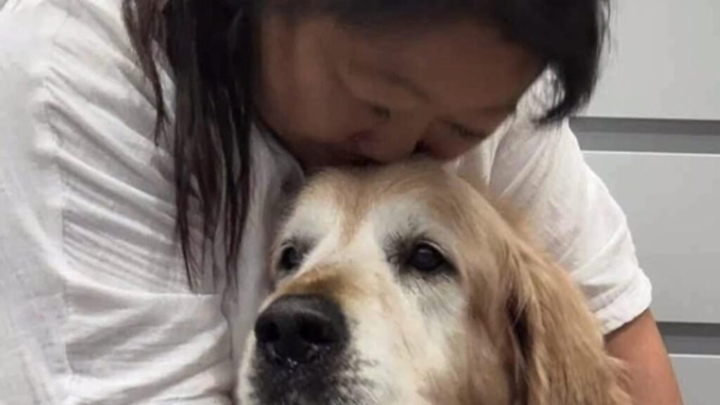 ‘Shattered’: RecipeTin Eats dog Dozer dies