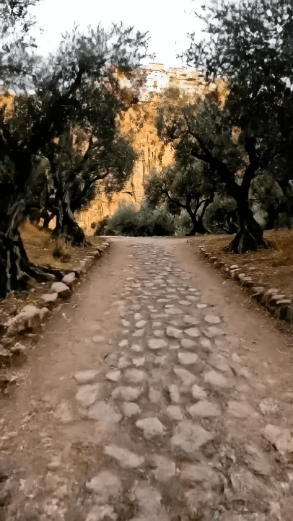 Spain, the Tajo de Ronda