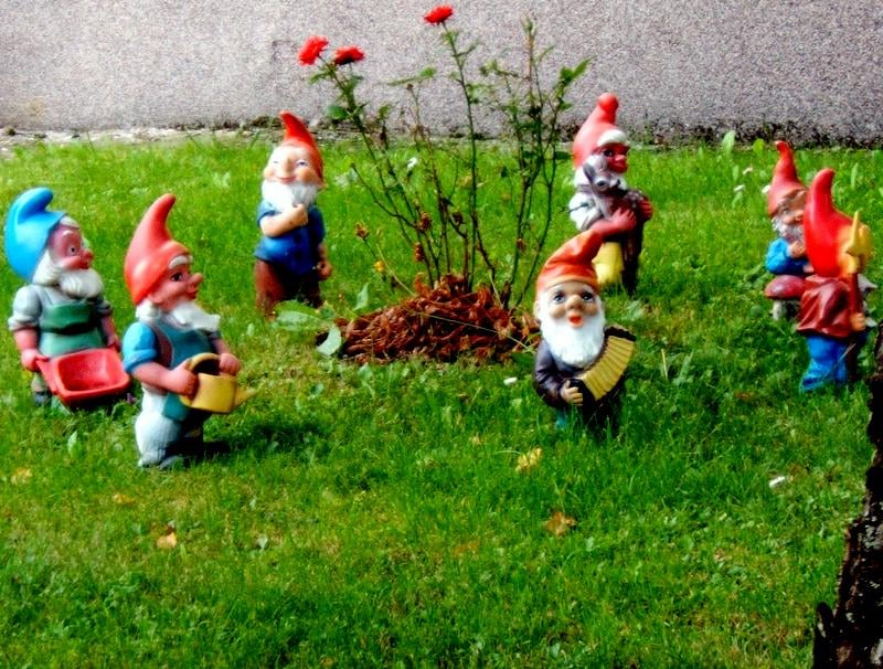 Call for witnesses: Do you remember, in 1996, the FNLJ (The Front for the Liberation of Garden Gnomes)?