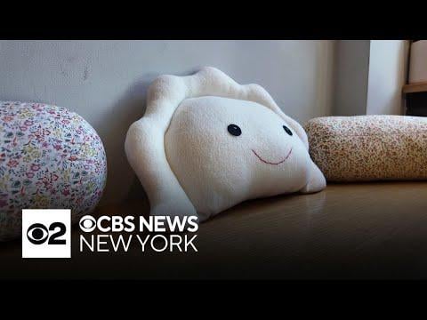 Pierogi plush pillow popularity stuns Brooklyn shop