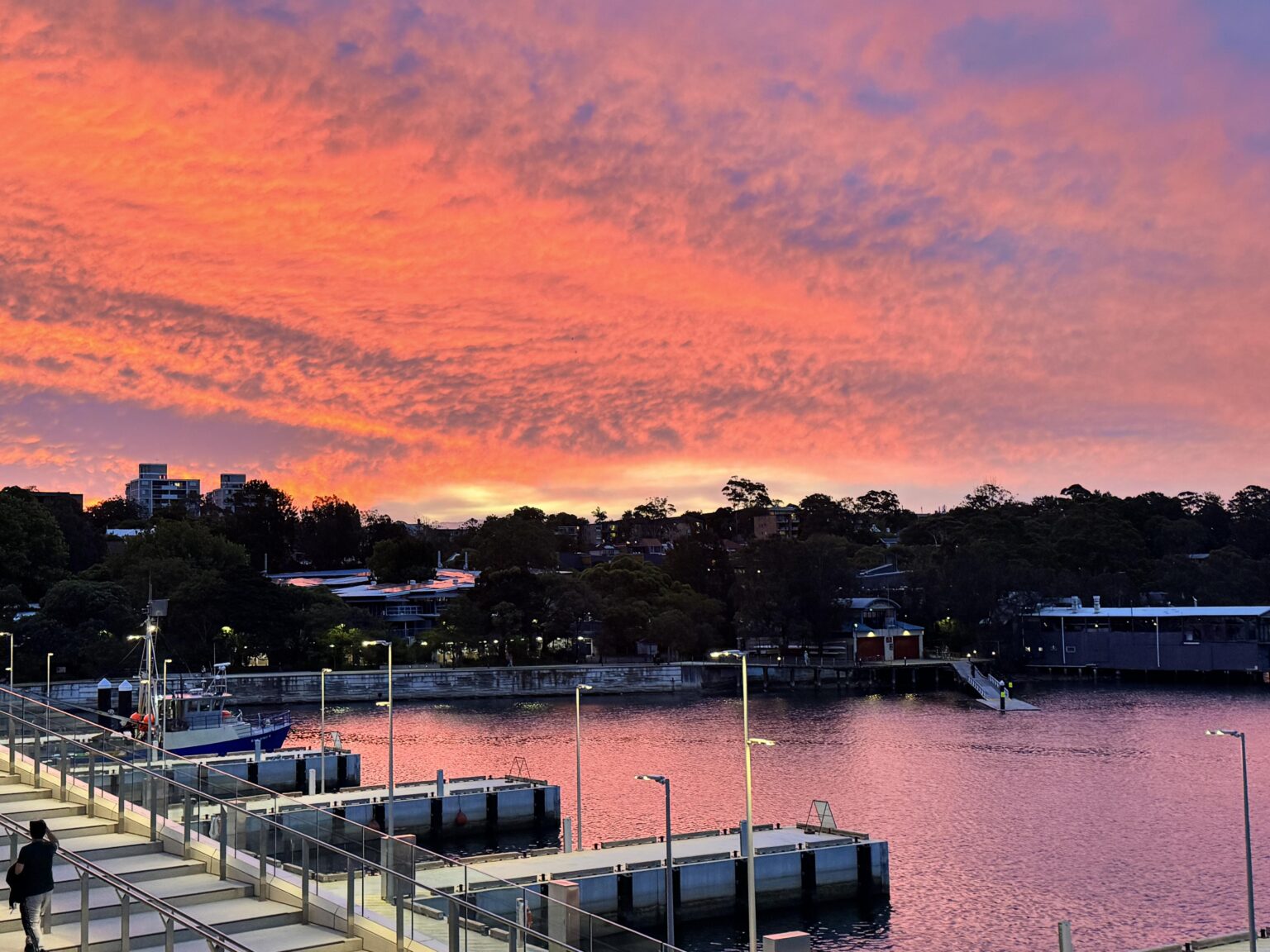 Sydney Sunset from the new fish markets