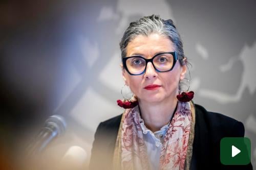 Francesca Albanese, UN committee condemns the request for resignation